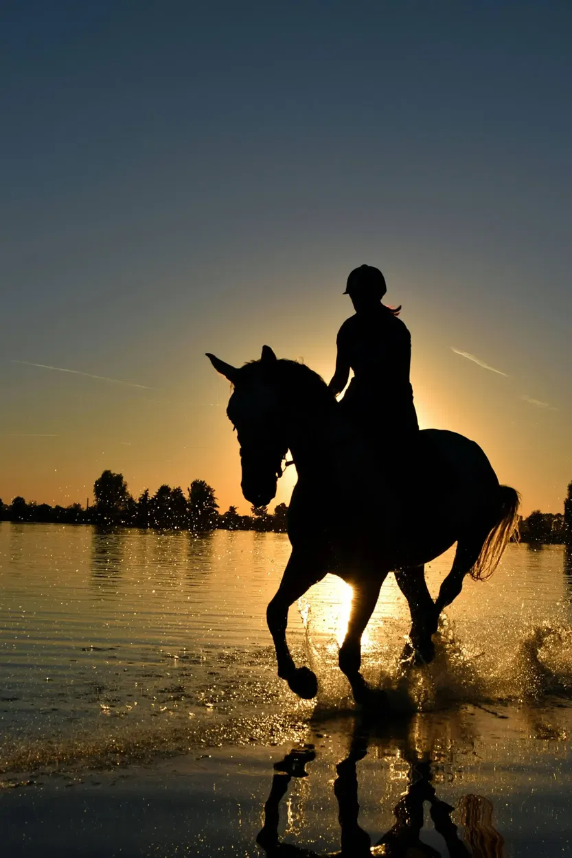 Horse colic prevention — 10 management changes that reduce risk