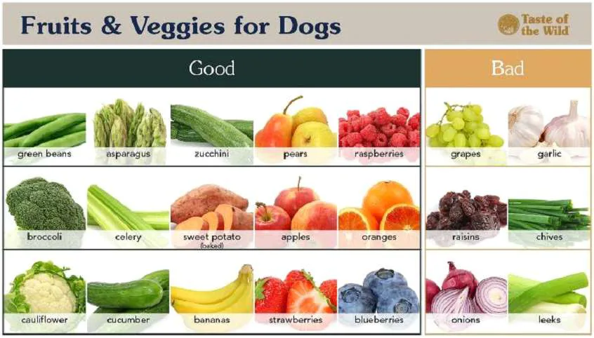 Fresh fruits and vegetables
