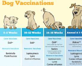 Vaccinations