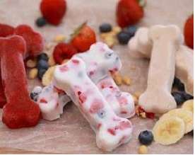 Yogurt