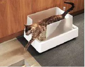 Tuft & Paw Cove Litter Box