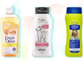 Shampoo-and-Conditioner-for-dogs