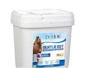 Digestive supplements