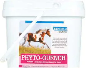 Antioxidant supplements