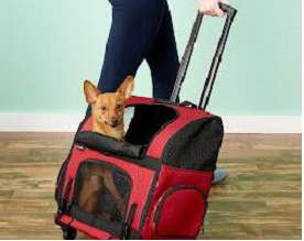 Gen7Pets Geometric Roller-Carrier