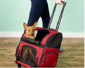 Gen7Pets Geometric Roller-Carrier