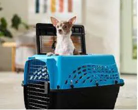 Frisco Two-Door Top-Load Kennel