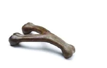 Benebone Wishbone Dog Chew Toy
