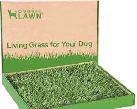 DoggieLawn Real Grass Potty for dogs