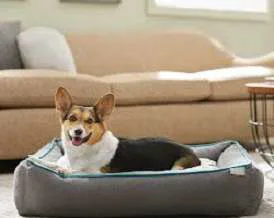 Frisco Sherpa Orthopedic Cat Bed