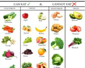 Fruits and vegetables