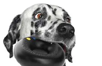 Goughnuts Indestructible Dog Chew Toy Ring