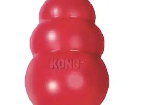 KONG Classic Dog Toy