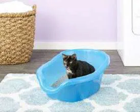PetFusion SmartKitty Litter Box for dogs