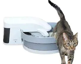PetSafe Simply Clean Litter Box for dogs