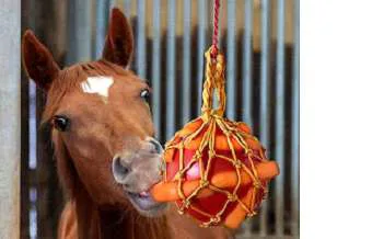 Treat Balls horse toy