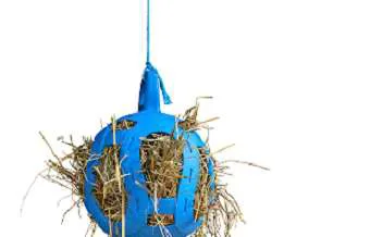 Willow Balls horse toy