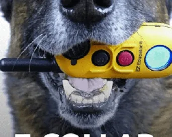 Books and online resources