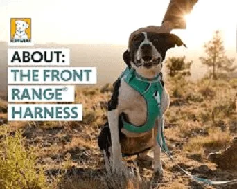 Ruffwear Front Range Dog Harness