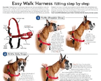 PetSafe Easy Walk Dog Harness
