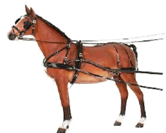 Driving Harness
