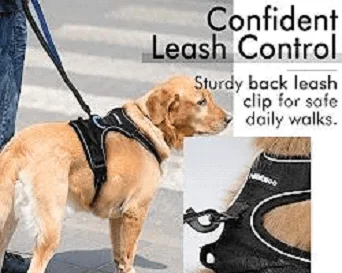 Rabbitgoo No-Pull Dog Harness