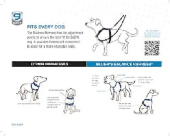 Blue-9 Balance Harness