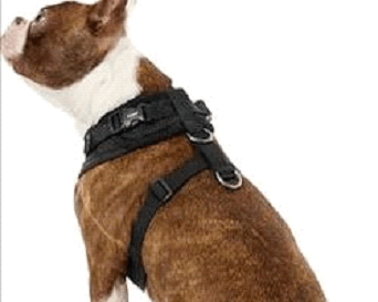 Puppia Back Clip Harness