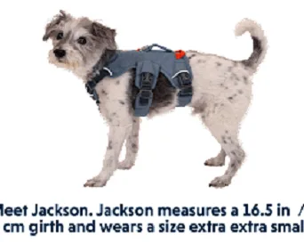 Ruffwear Web Master Dog Harness