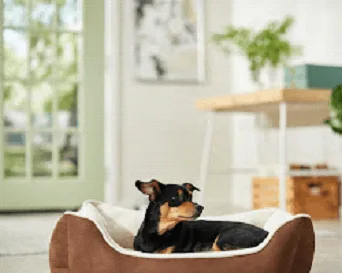 Frisco Rectangular Bolster Cat & Dog Bed