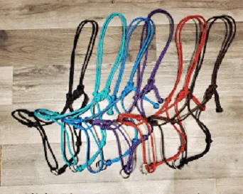 Halter and lead rope