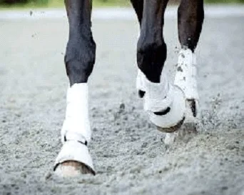 Padded boots or wraps