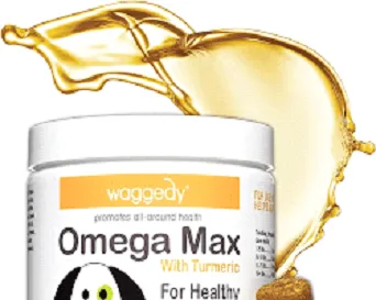 Immune system health