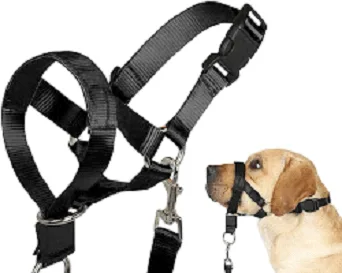 Collar or harness
