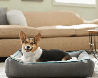 Frisco Sherpa Orthopedic Cat Bed