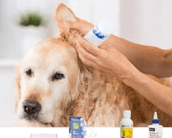 Ear cleaner
