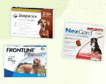 Flea and tick prevention