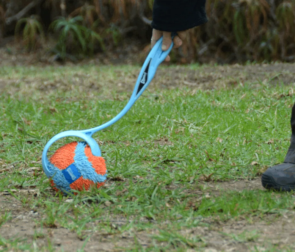 Chuckit! Indoor Ball Launcher