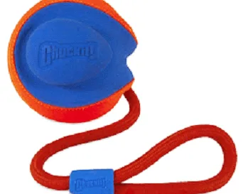 Chuckit! Rope Fetch Dog Toy
