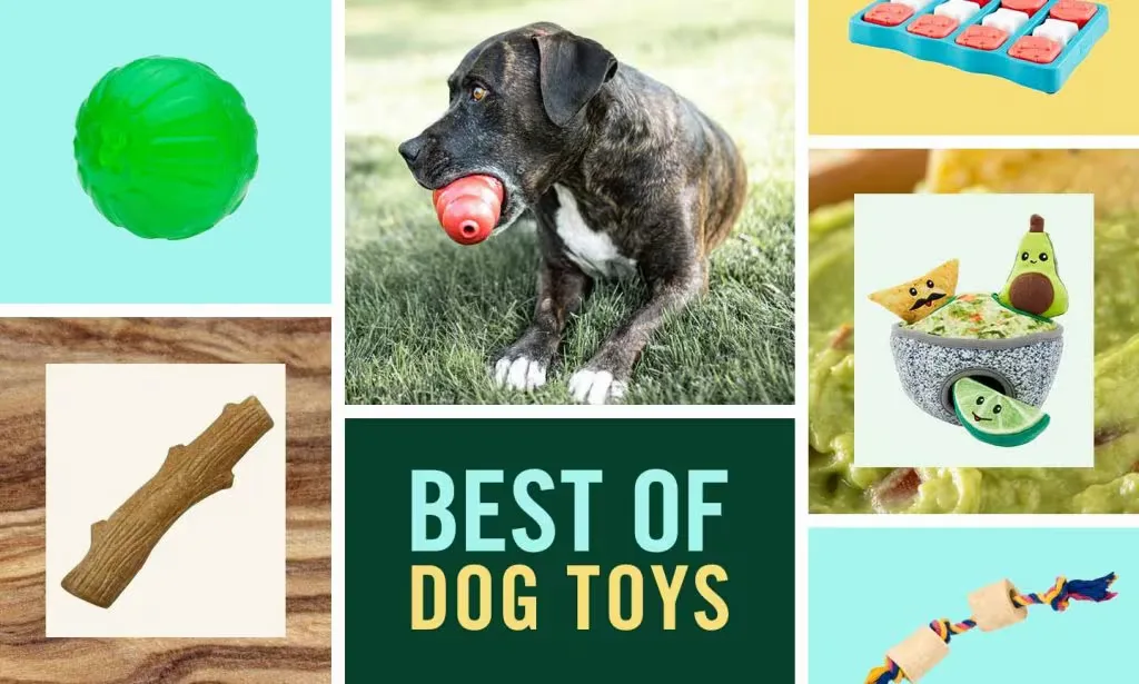 Nylabone Durable Chew Dog Toys
