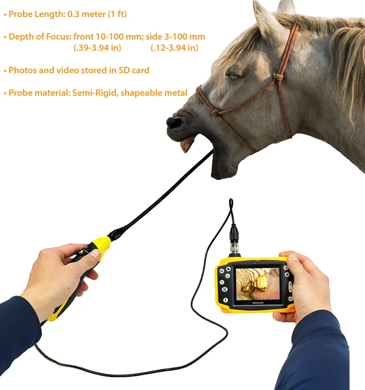 Horse Dental Probe